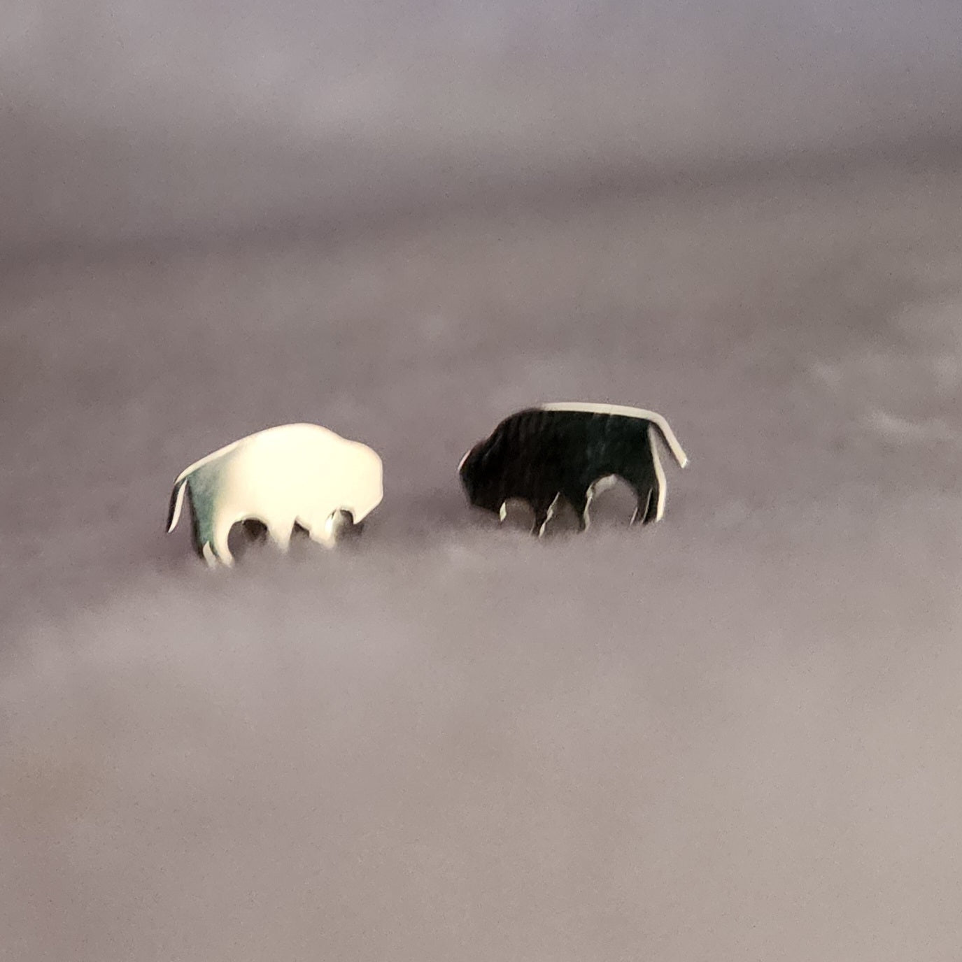 Stainless Steel Buffalo Studs