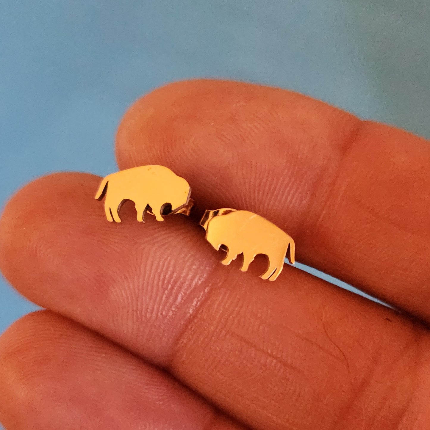 Stainless Steel Buffalo Studs
