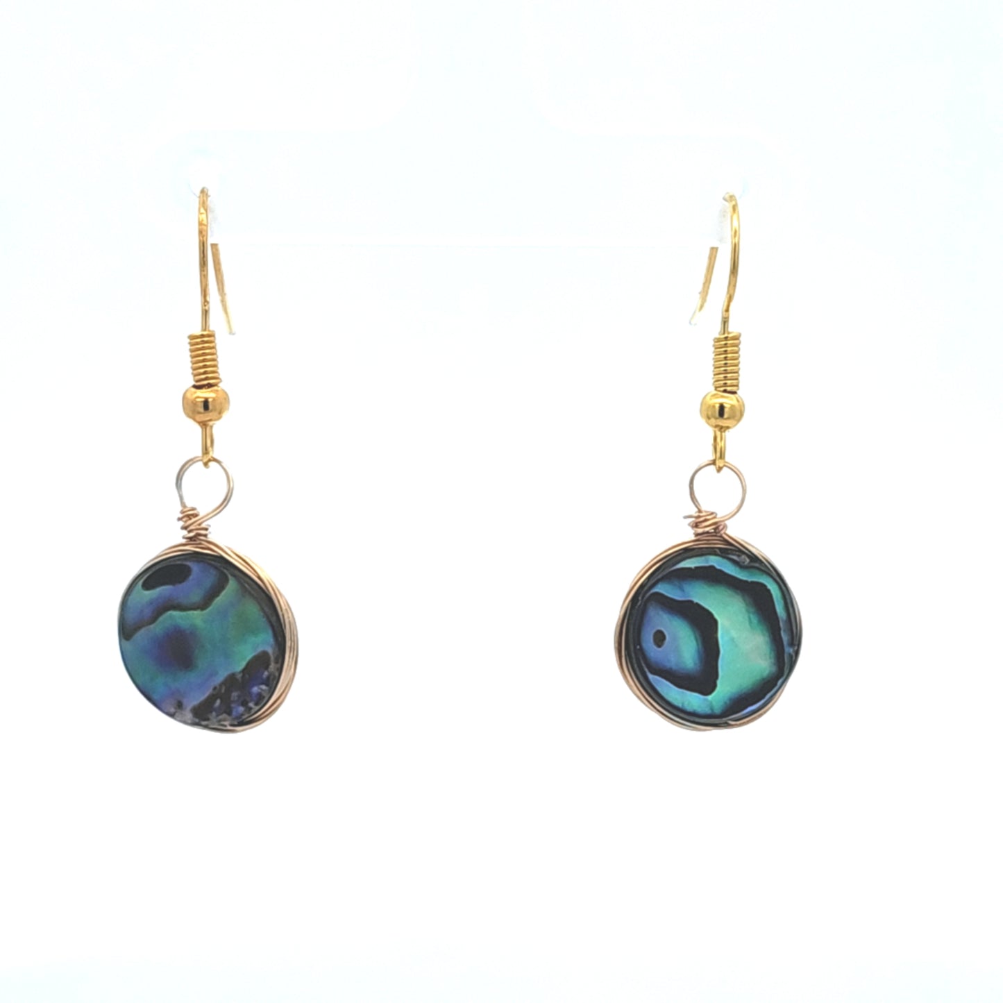 Round Mother of Pearl Earring in Silver