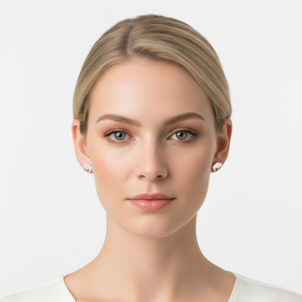 Buffalo Studs (Stainless Steel)