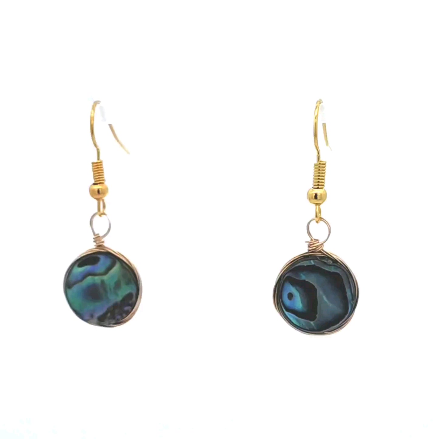 Round Mother of Pearl Earring in Silver